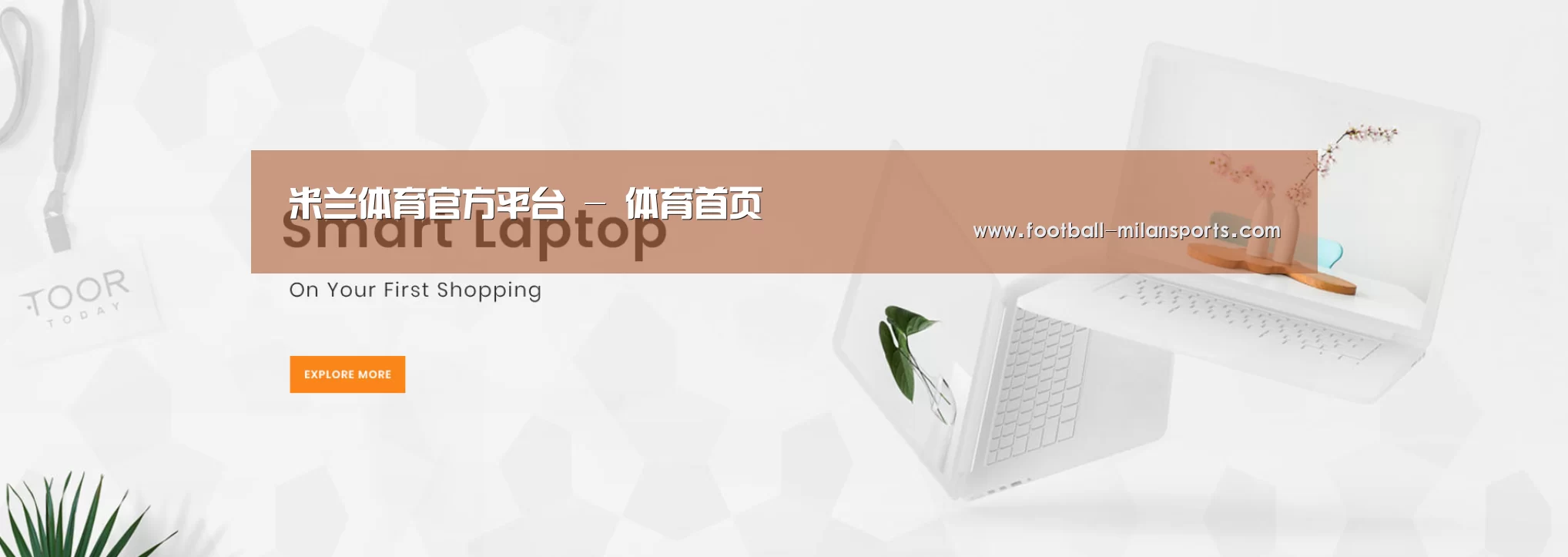 某某网络科技有限公司