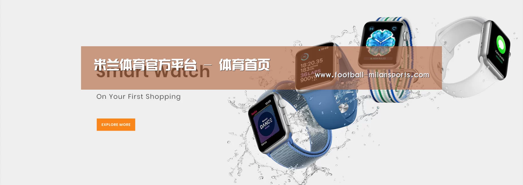 某某网络科技有限公司