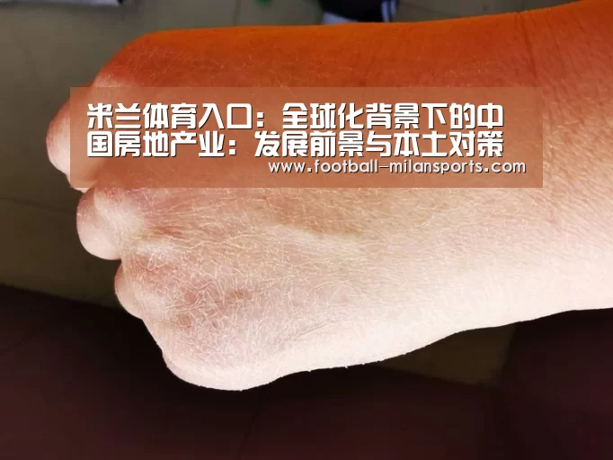 米兰体育入口:全球化背景下的中国房地产业:发展前景与本土对策(图1) 米兰体育入口