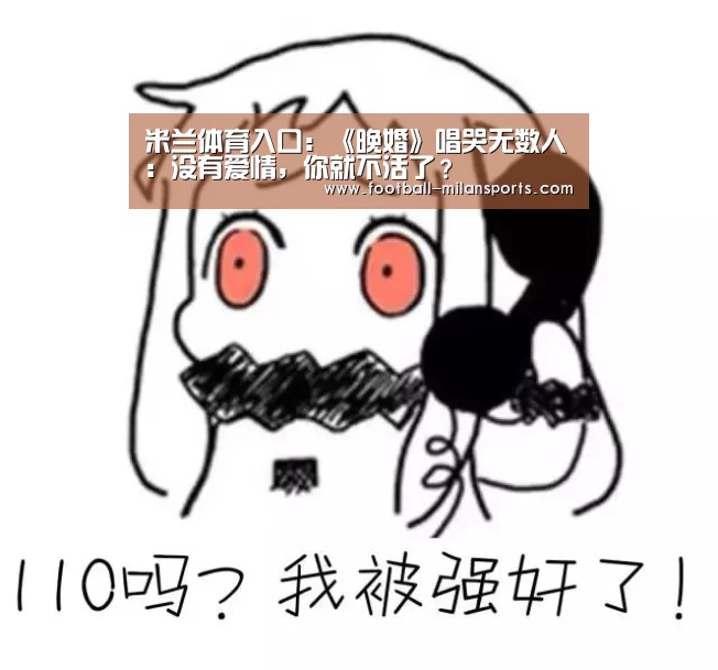 米兰体育入口