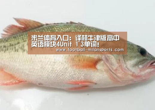 APP下载