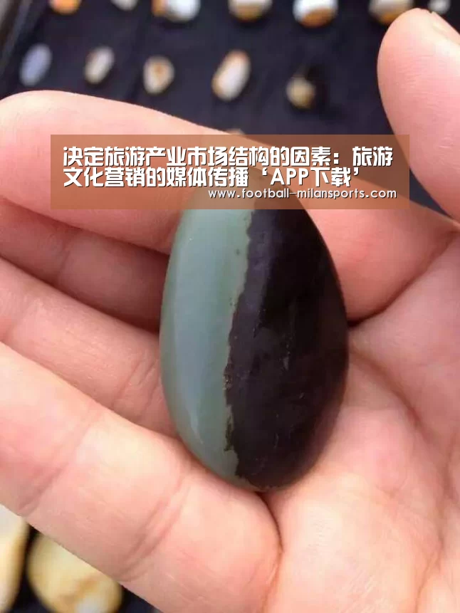 APP下载