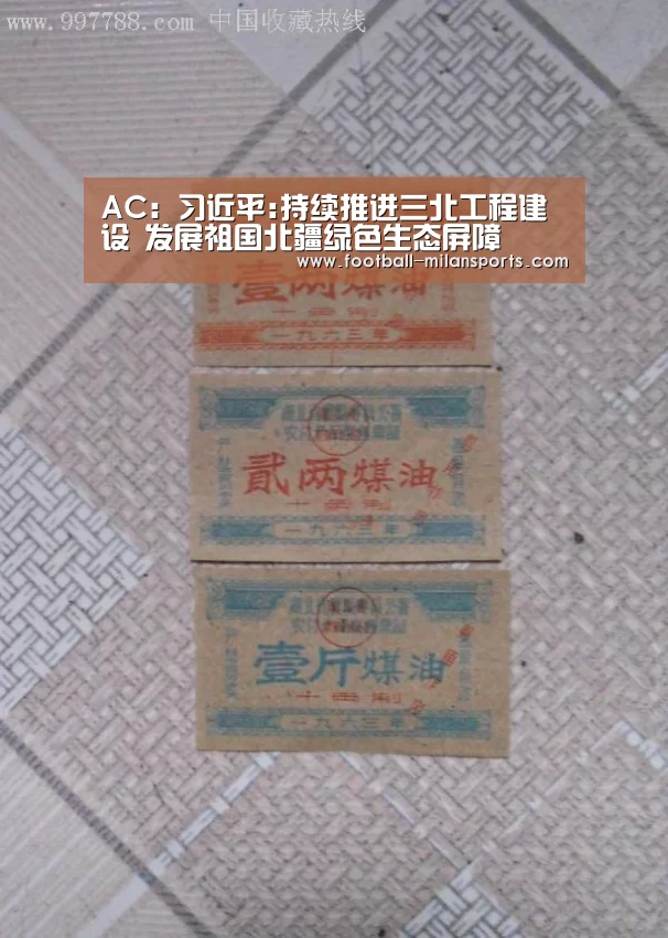 AC:习近平:持续推进三北工程建设 发展祖国北疆绿色生态屏障(图4) 米兰体育