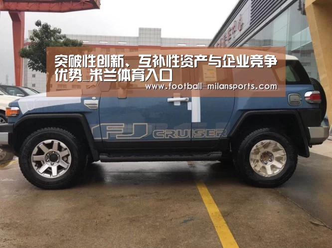 突破性创新、互补性资产与企业竞争优势_米兰体育入口(图2) APP下载