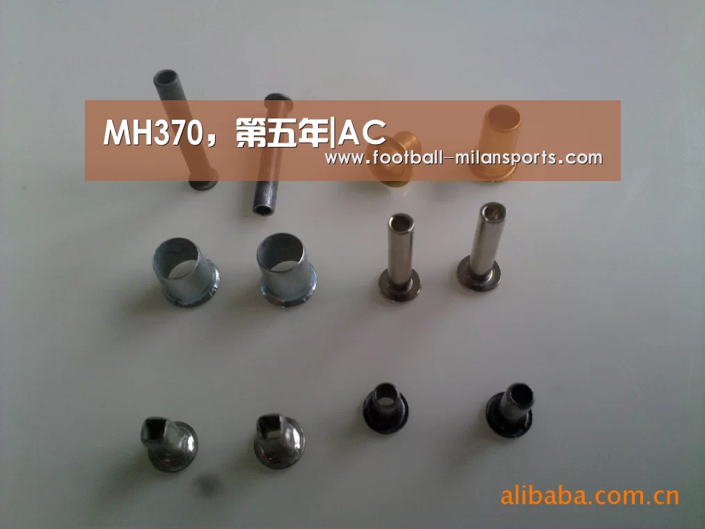 MH370,第五年|AC(图2) 米兰体育入口