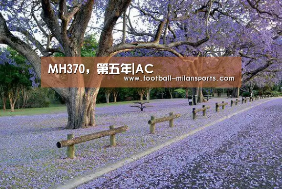 MH370,第五年|AC(图3) 米兰体育