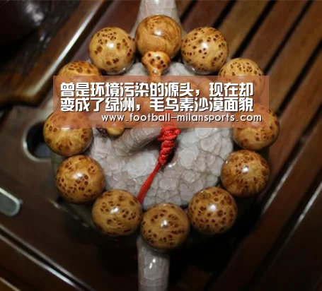 APP下载