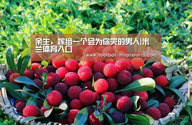 米兰体育入口