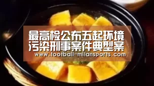 最高检公布五起环境污染刑事案件典型案例“米兰体育”(图2) 米兰体育入口