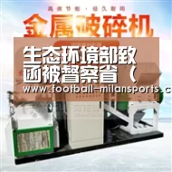 生态环境部致函被督察省（市）、集团公司坚决禁止搞“一刀切”“滥问责”“AC”(图1)