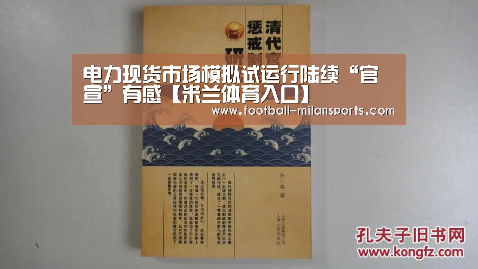 电力现货市场模拟试运行陆续“官宣”有感【米兰体育入口】(图4) 电力现货市场模拟试运行陆续“官宣”有感【米兰体育入口】(图4)