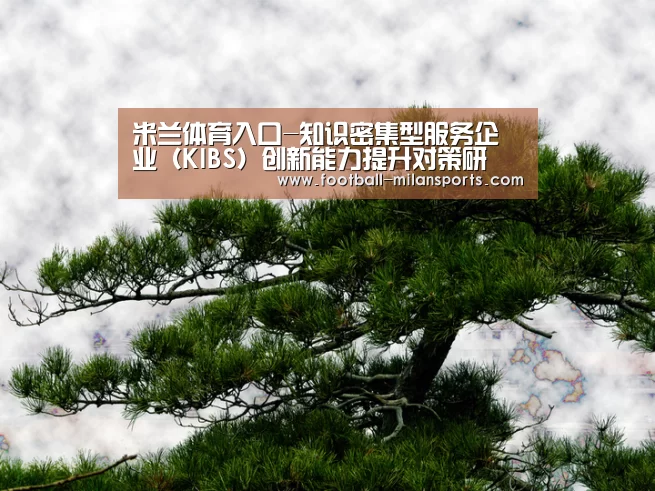 APP下载