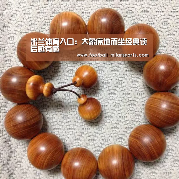 米兰体育入口：大象席地而坐经典读后感有感(图1)