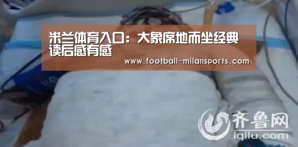 米兰体育入口：大象席地而坐经典读后感有感(图3)