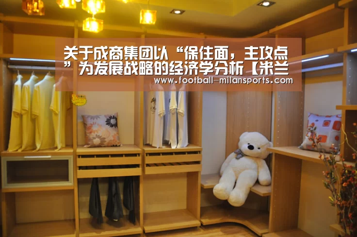 关于成商集团以“保住面,主攻点”为发展战略的经济学分析【米兰体育入口】(图2) 关于成商集团以“保住面,主攻点”为发展战略的经济学分析【米兰体育入口】(图2)